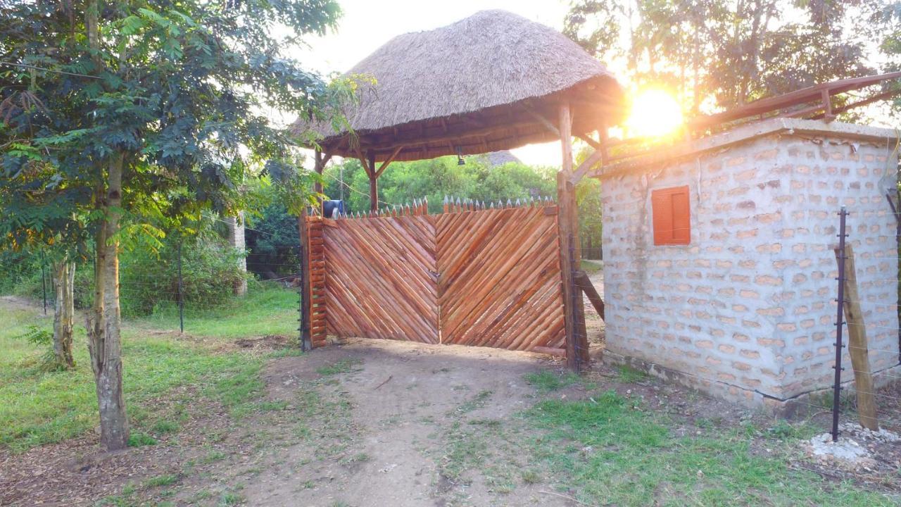 Irungu Forest Safari Lodge Katunguru Экстерьер фото