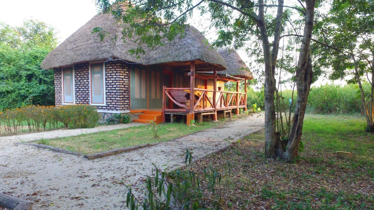 Irungu Forest Safari Lodge Katunguru Экстерьер фото